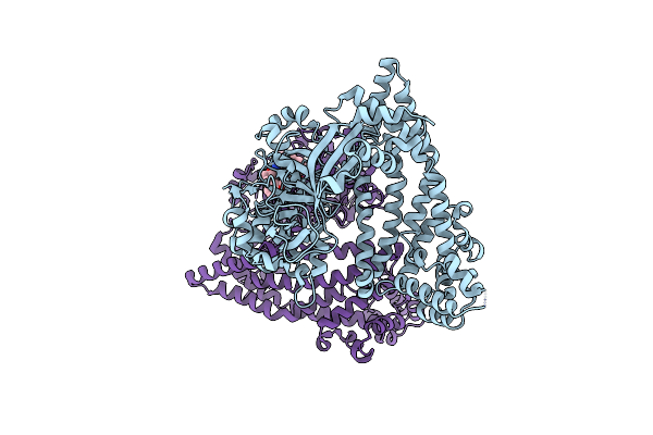 5SDH image