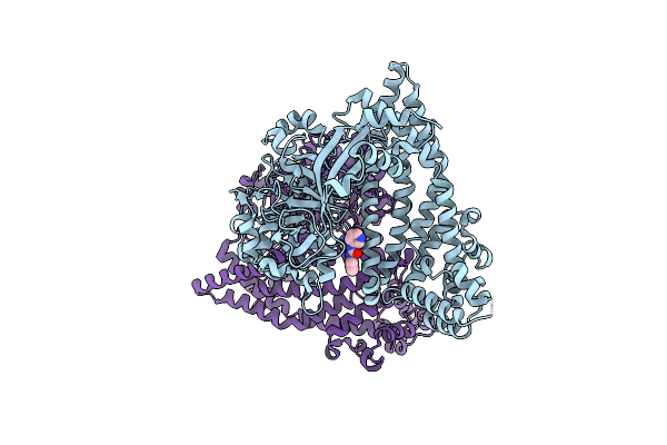 5SDI image
