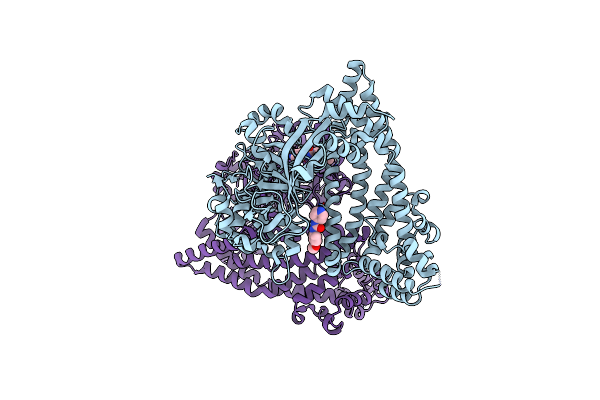 5SDL image