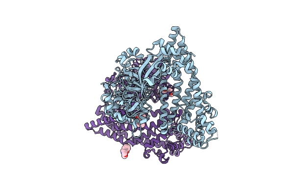 5SDQ image