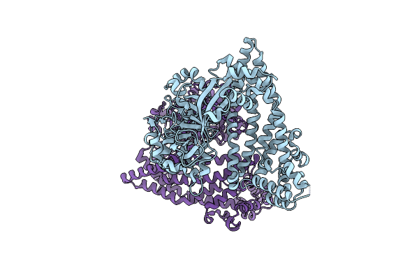 5SDS image