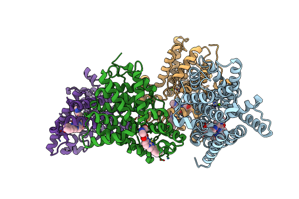 5SDV image
