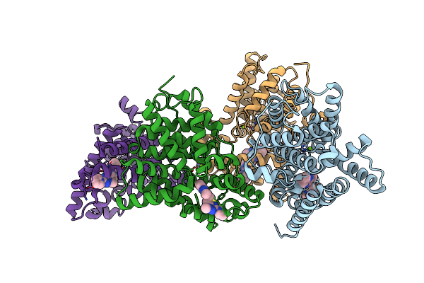 5SEB image