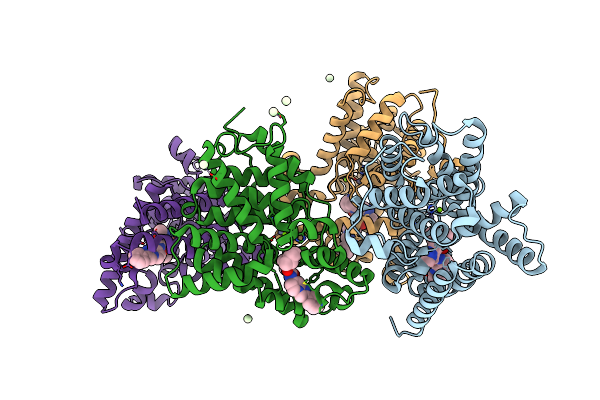 5SIO image