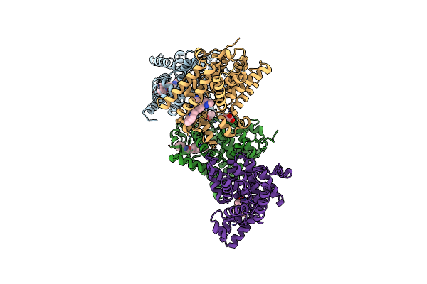5SJX image