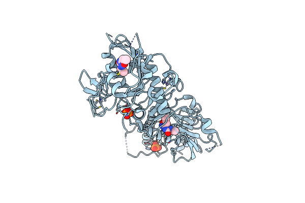 5SLE image