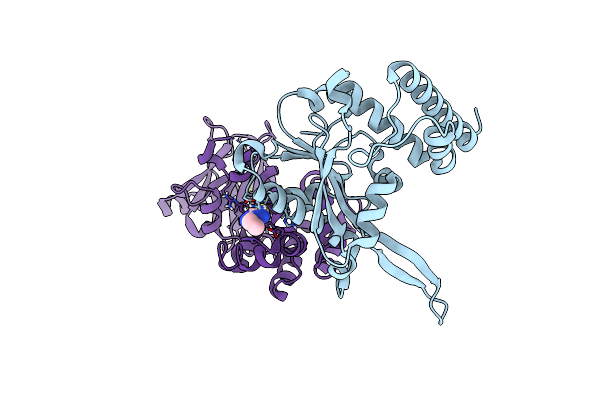 5STB image