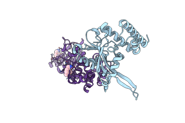 5STJ image