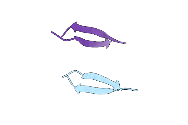 5SUT image