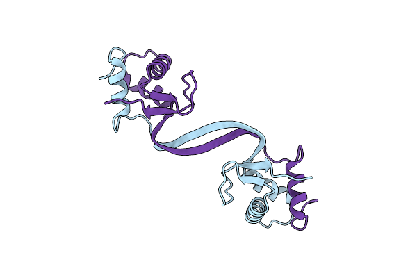5SUZ image