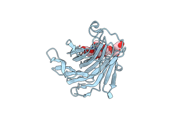 5SV8 image