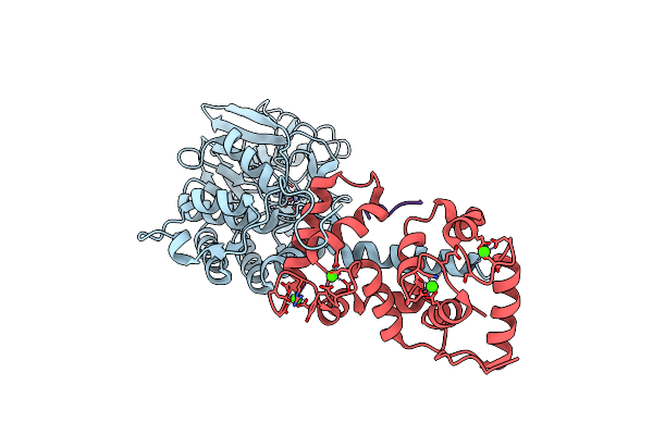 5SVE image