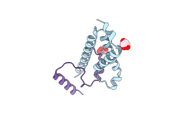 5SVH image
