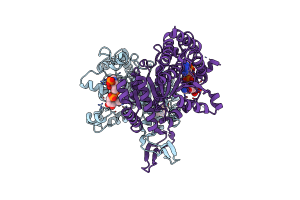 5SVO image