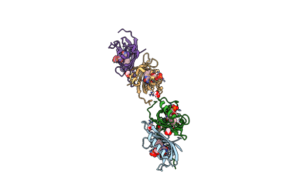 5SVV image