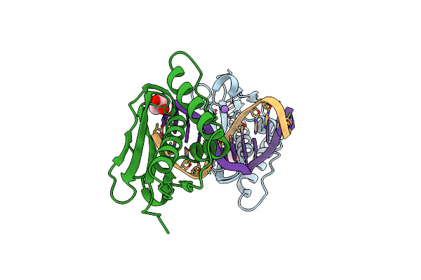 5SWM image