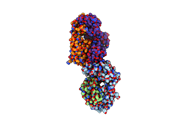 5SWS image