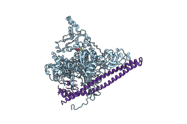 5SXC image