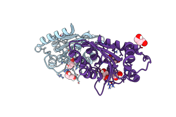 5SXG image