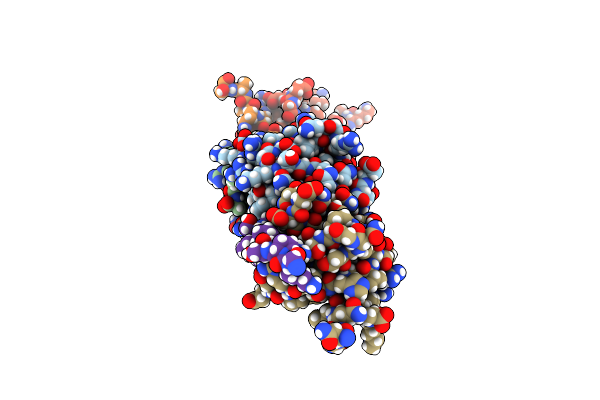 5SXP image