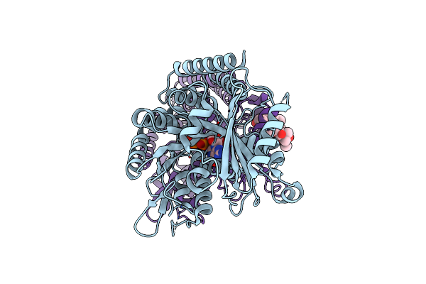 5SYC image