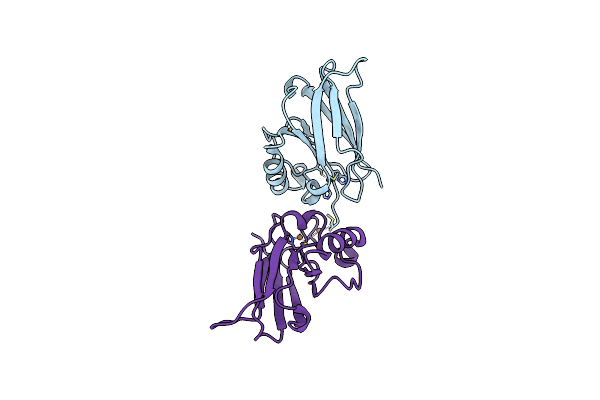 5SYD image