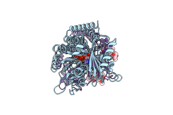 5SYE image