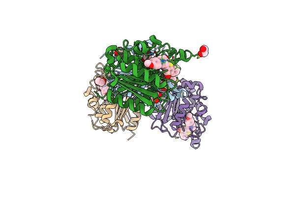 5SYN image