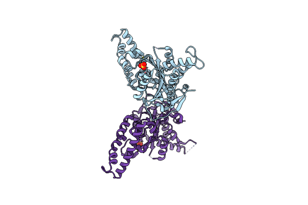 5SYP image
