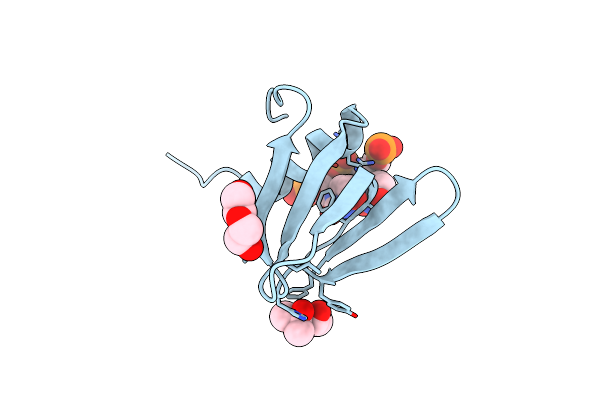 5SZE image