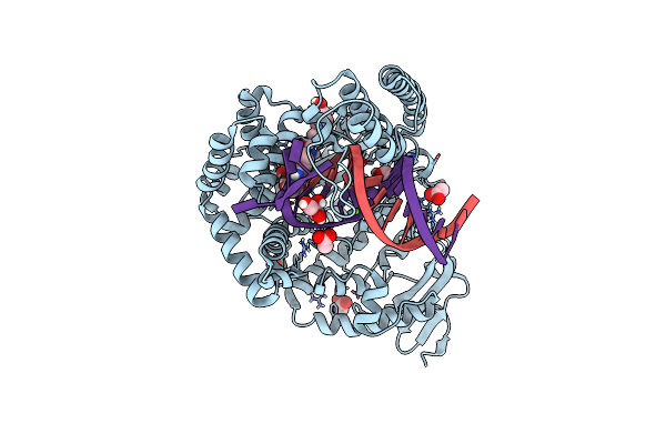 5SZT image