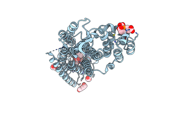 5T04 image