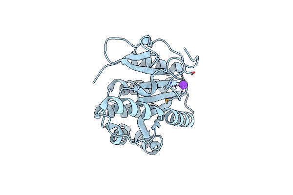 5T09 image