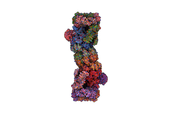 5T0C image