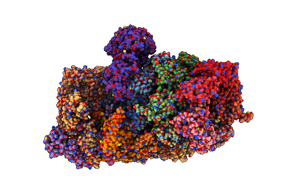 5T0J image
