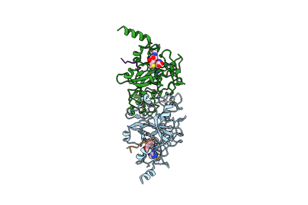 5T0K image