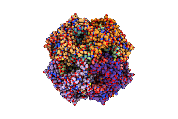 5T0V image