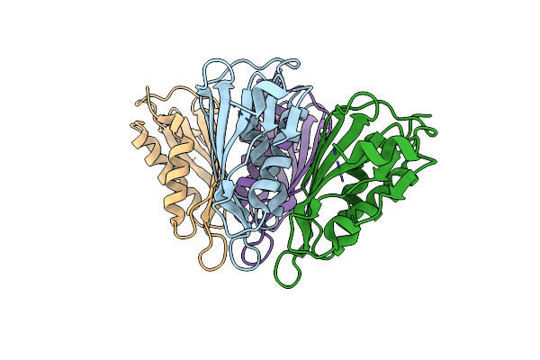 5T10 image