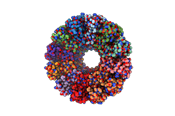 5T11 image
