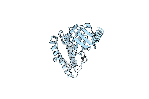 5T12 image