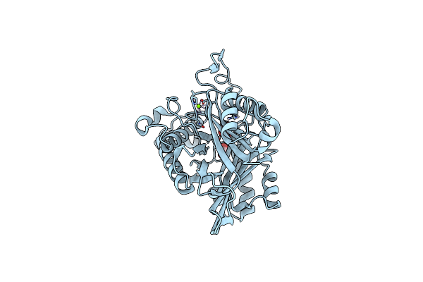 5T13 image