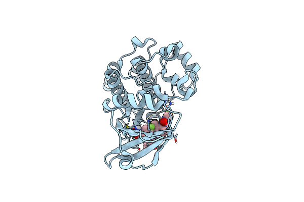 5T18 image
