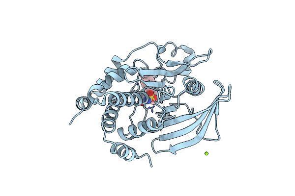 5T19 image