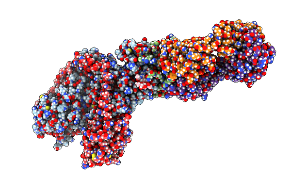 5T1D image