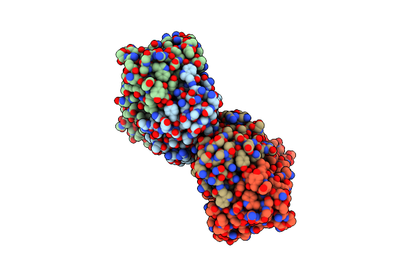 5T1K image