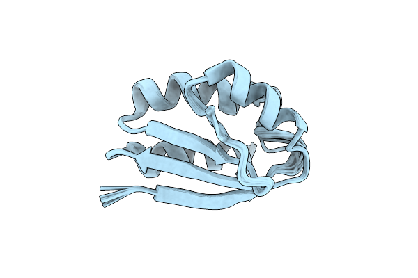 5T1N image