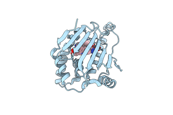 5T21 image