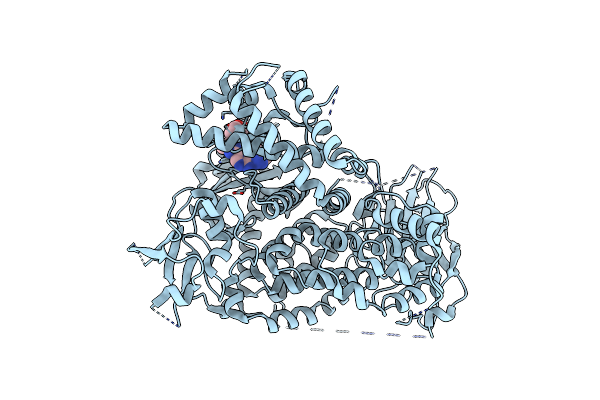 5T23 image