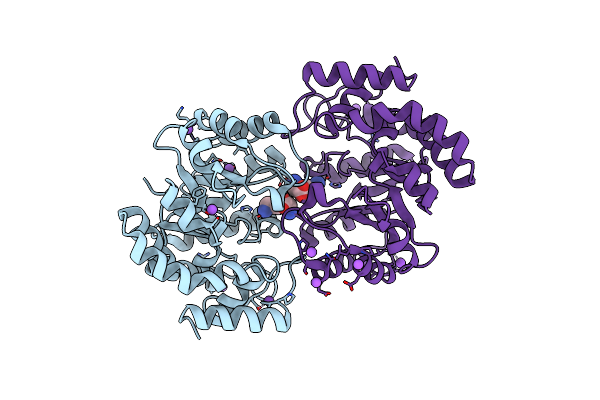 5T25 image