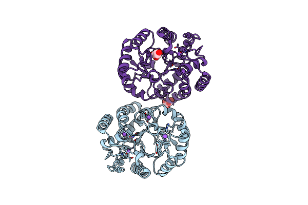 5T26 image